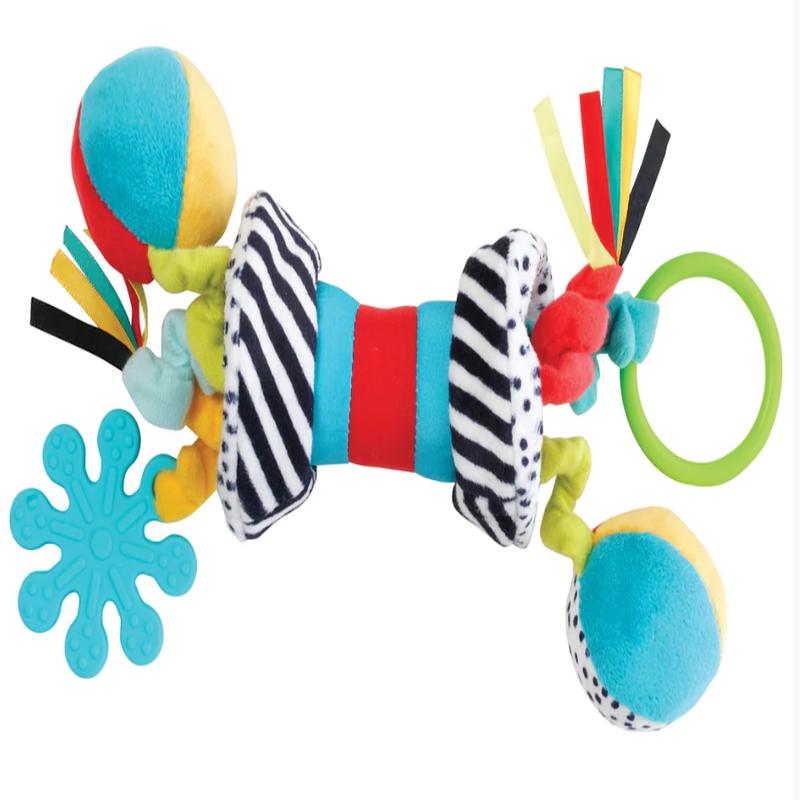 Zaggles Wimmer